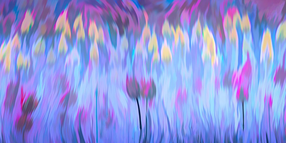 Tulips Entangled art print by Don Schwartz for $57.95 CAD