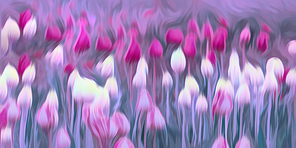 Vibrant Field of Tulips art print by Don Schwartz for $57.95 CAD