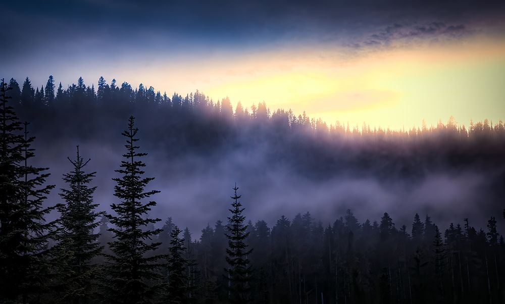 Evening Fog Drifts In art print by Don Schwartz for $57.95 CAD