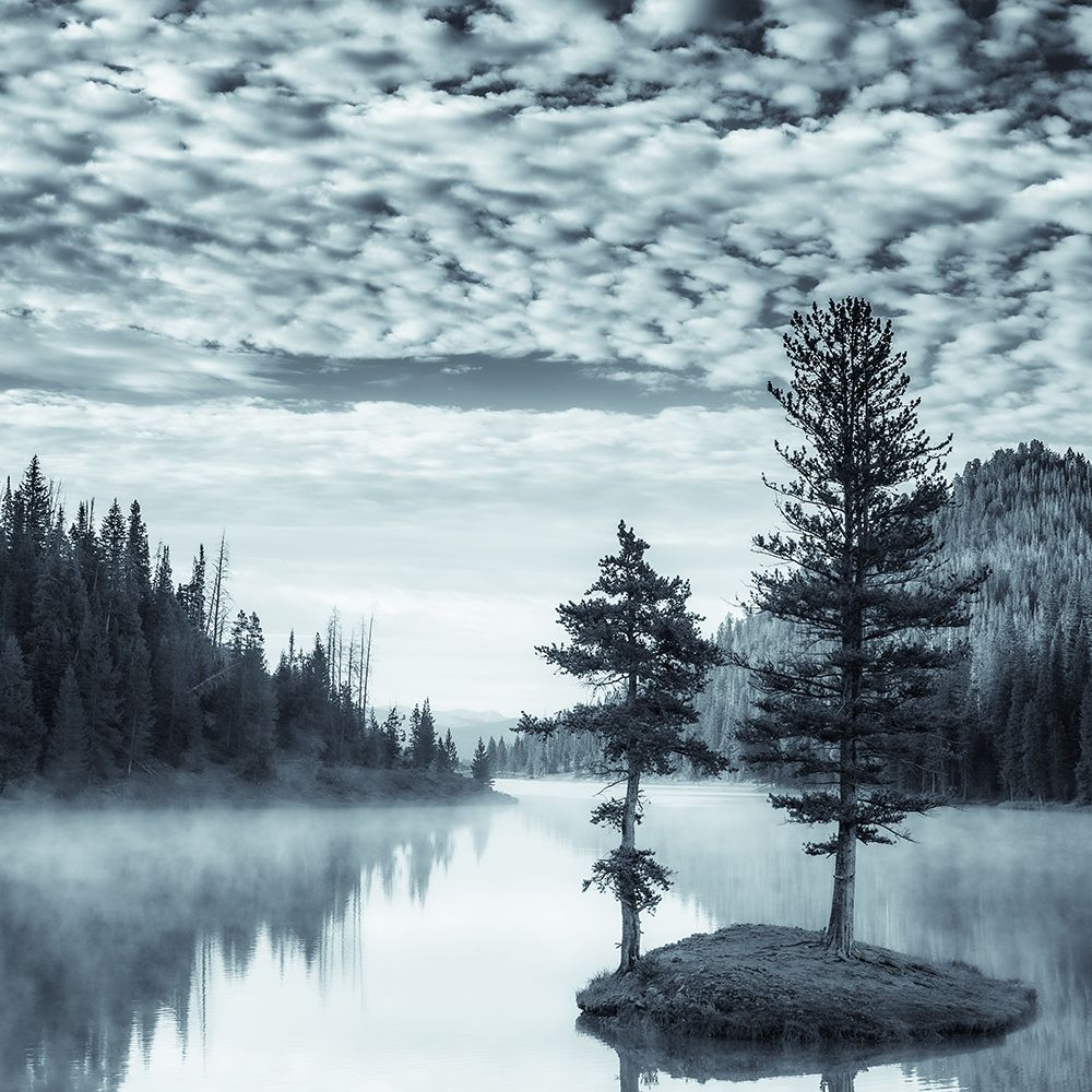Island in the Morning Mist art print by Don Schwartz for $57.95 CAD