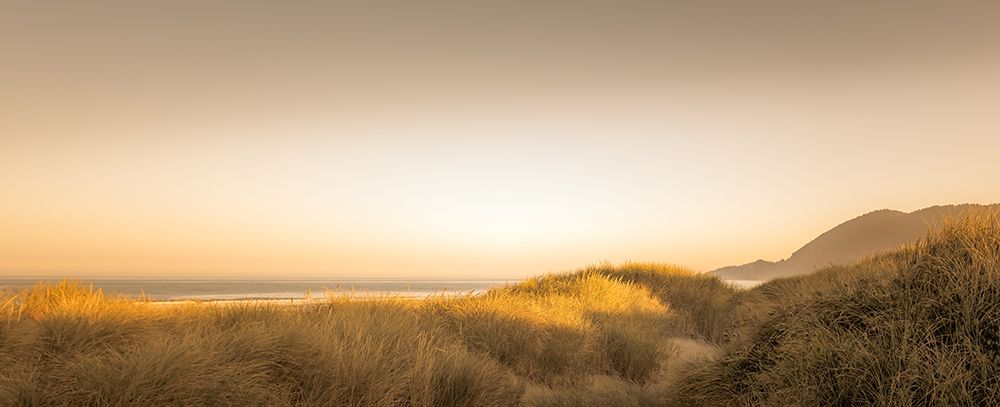 Sunlit Dunes art print by Don Schwartz for $57.95 CAD