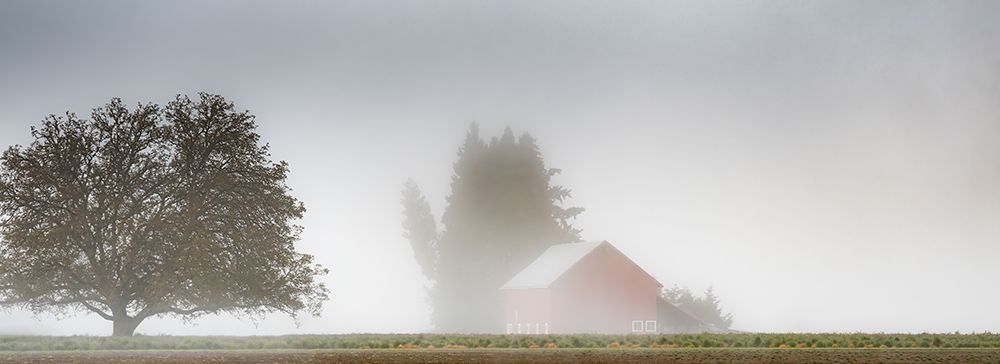 Red Barn Draped in Mist art print by Don Schwartz for $57.95 CAD