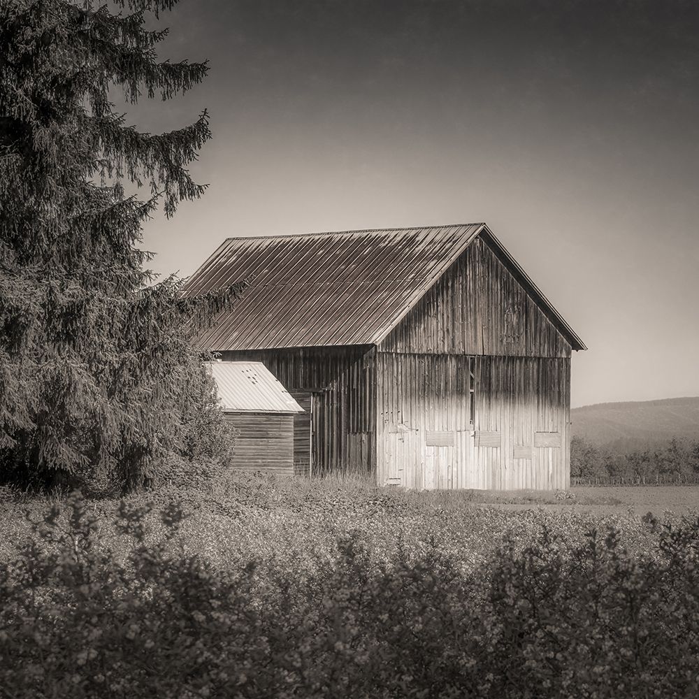 Country Barn art print by Don Schwartz for $57.95 CAD
