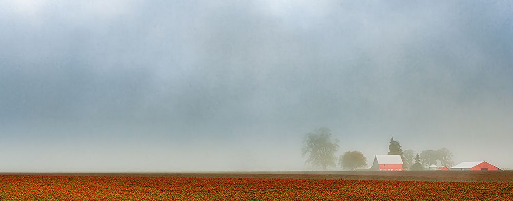 Crimson Clover Misty art print by Don Schwartz for $57.95 CAD