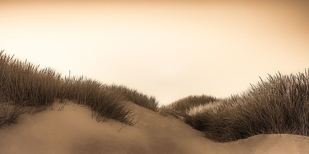 Dunes at Sunrise art print by Don Schwartz for $57.95 CAD