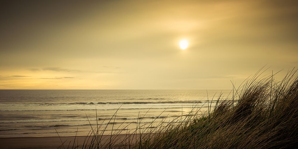 Sweeping Dunes art print by Don Schwartz for $57.95 CAD