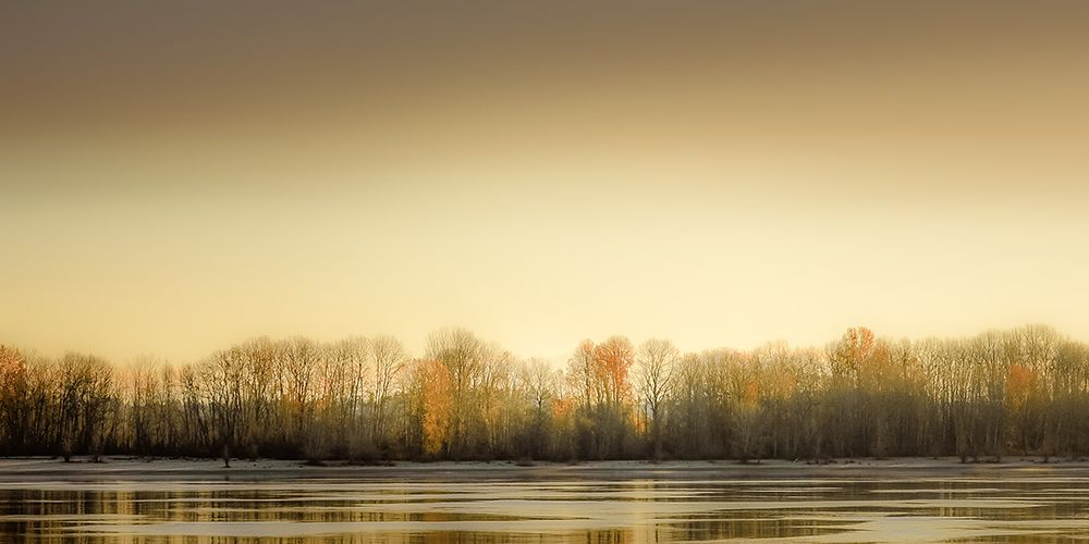 Frosty Wetland art print by Don Schwartz for $57.95 CAD