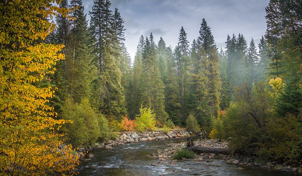 Curve in the Creek art print by Don Schwartz for $57.95 CAD
