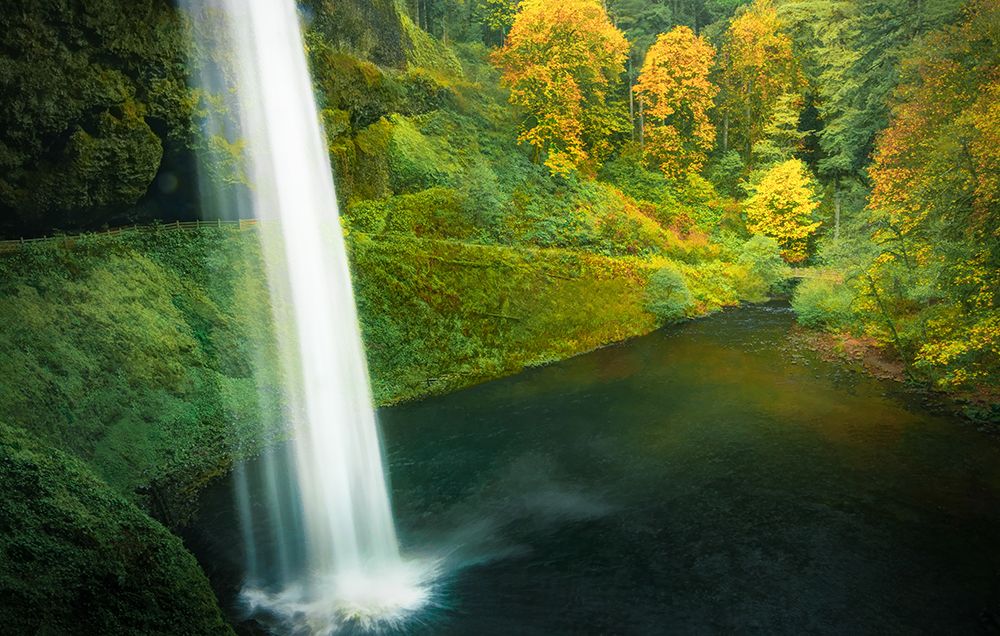 Autumn Splash art print by Don Schwartz for $57.95 CAD