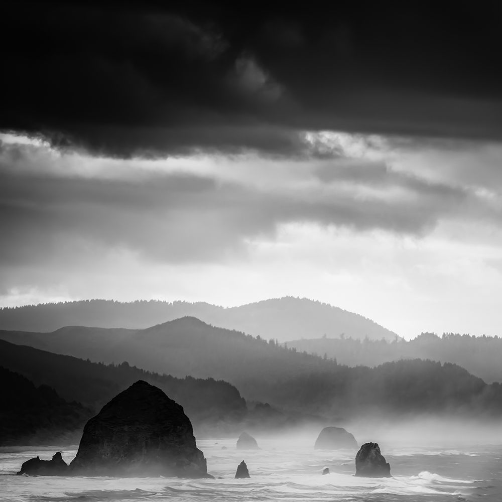 Misty Tide Black And White art print by Don Schwartz for $57.95 CAD