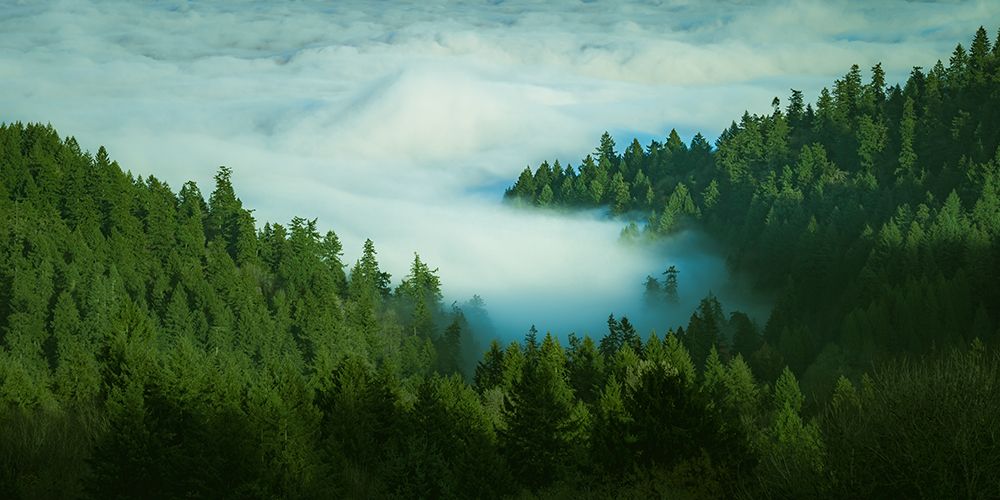 Clouds Come Drifting In art print by Don Schwartz for $57.95 CAD