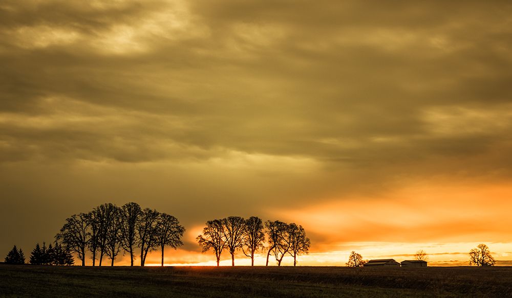 First Rays of Morning art print by Don Schwartz for $57.95 CAD