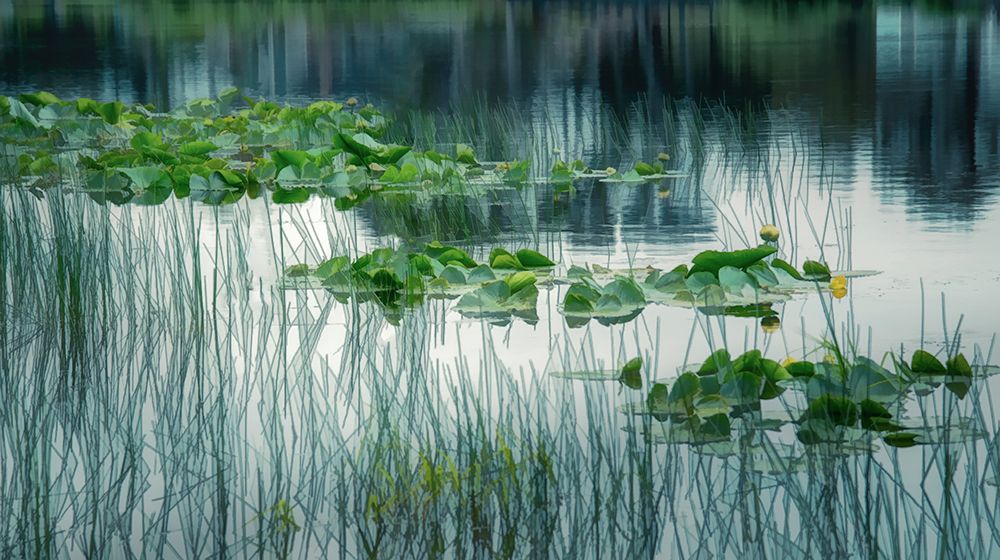 Lakeside in Spring art print by Don Schwartz for $57.95 CAD