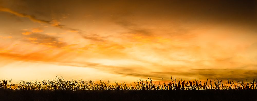 Pastoral Sunrise art print by Don Schwartz for $57.95 CAD