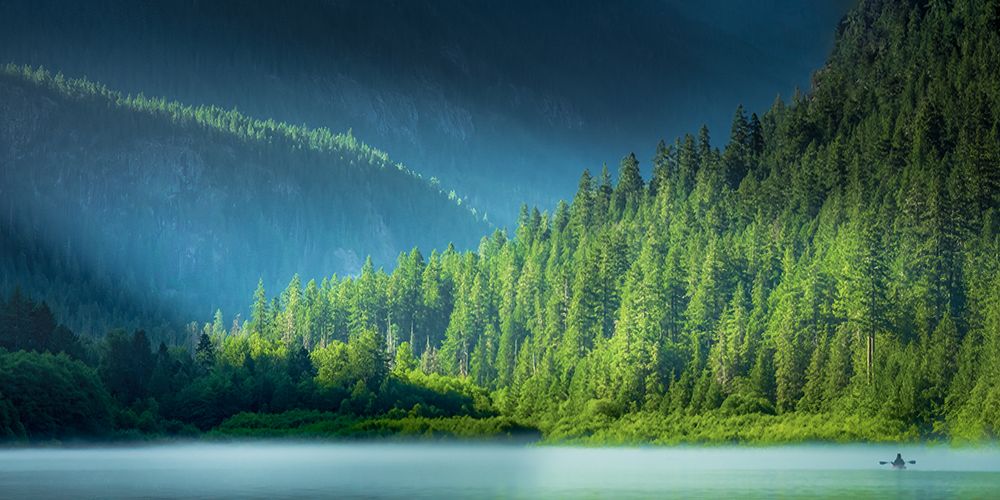 Serene Paddle art print by Don Schwartz for $57.95 CAD
