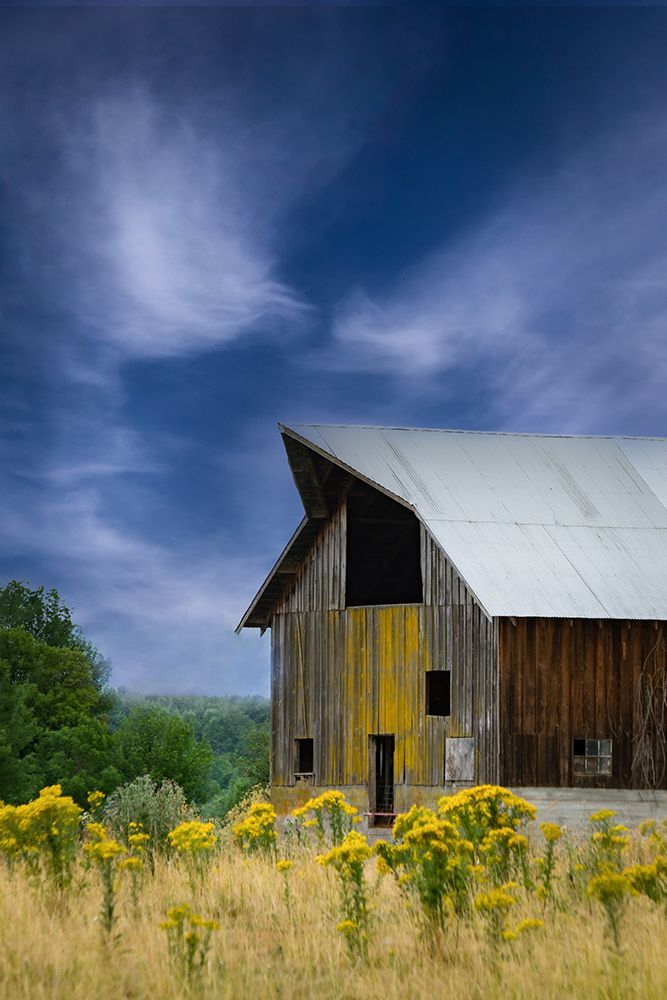 Old Barn in a Summer Field art print by Don Schwartz for $57.95 CAD