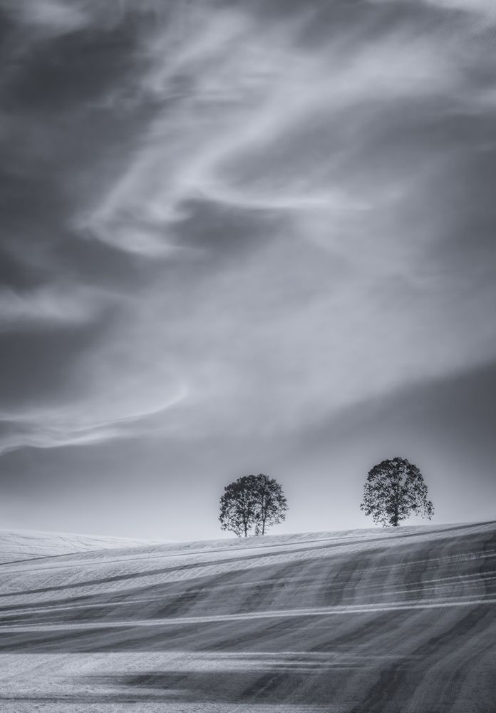Two Trees on a Hillside art print by Don Schwartz for $57.95 CAD