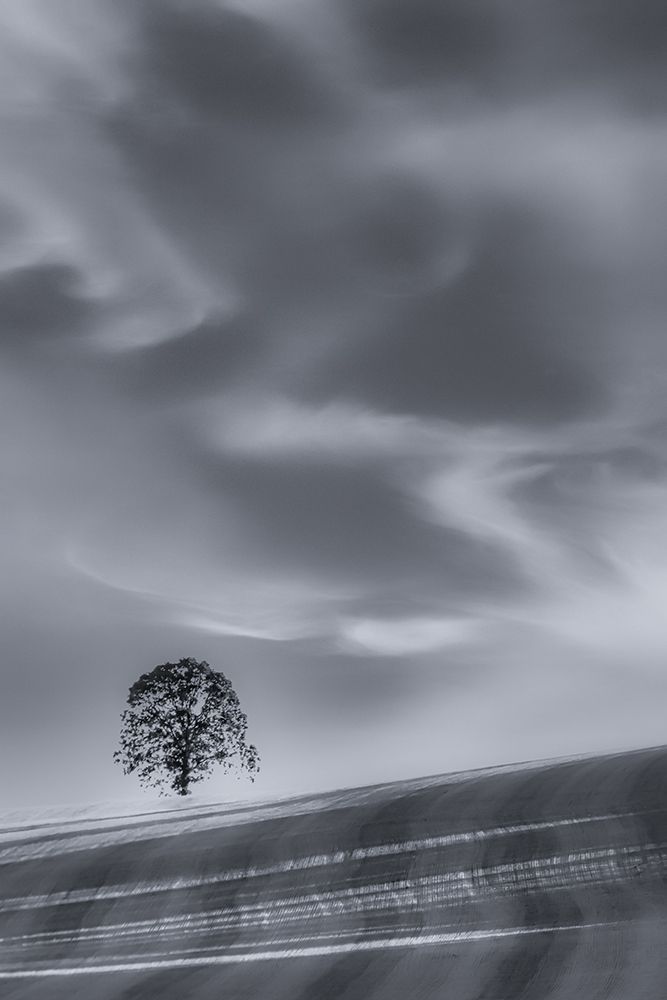 Lone Tree on a Hillside art print by Don Schwartz for $57.95 CAD
