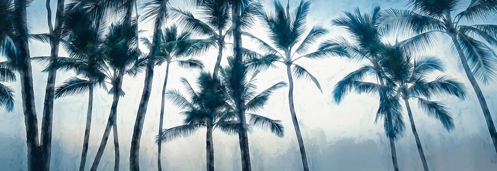 Big Island Palms art print by Don Schwartz for $57.95 CAD