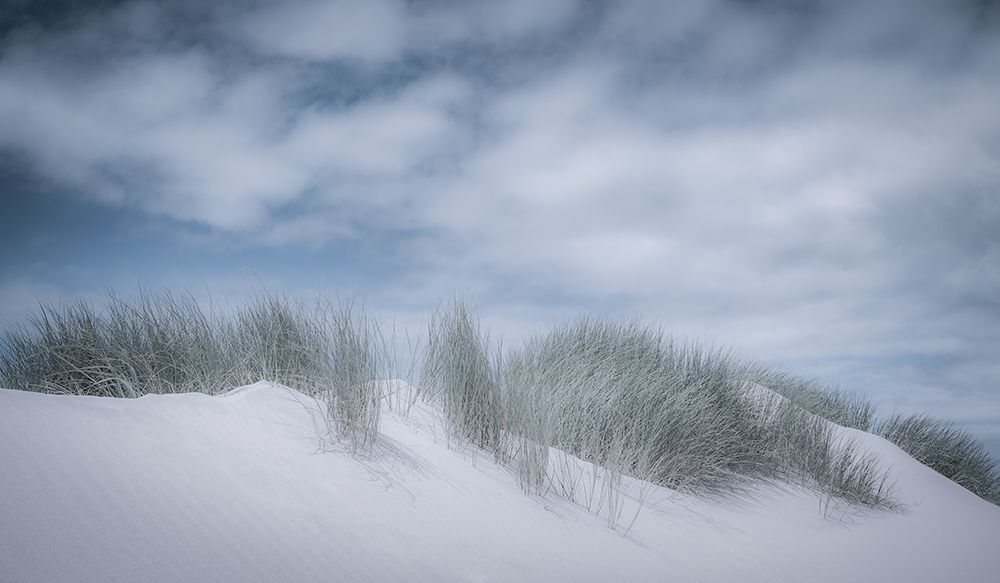 Soft Dunes art print by Don Schwartz for $57.95 CAD