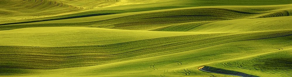 Gentle Waves of Hills art print by Don Schwartz for $57.95 CAD