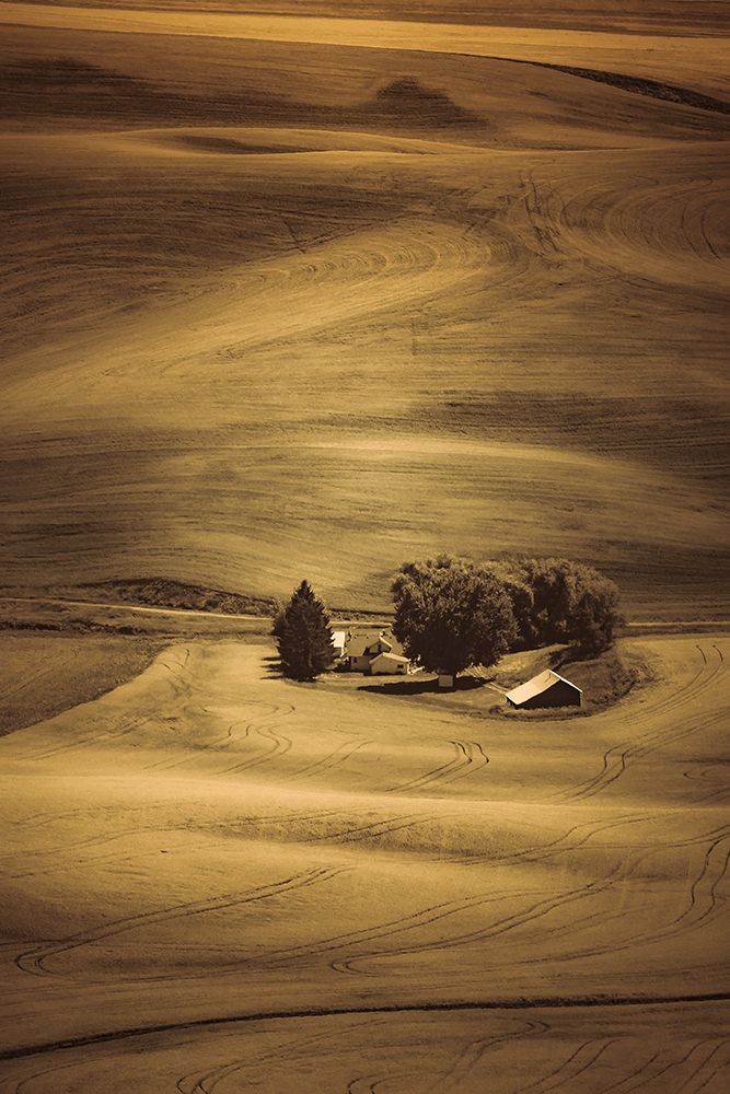 Hills and Swirls art print by Don Schwartz for $57.95 CAD