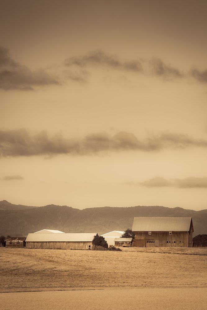 In the Wheat art print by Don Schwartz for $57.95 CAD
