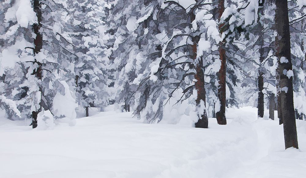 Snow-Dappled Woods art print by Don Schwartz for $57.95 CAD
