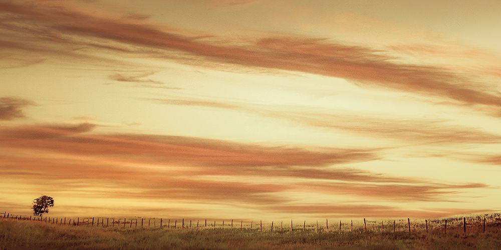 Sunset Along the Fence art print by Don Schwartz for $57.95 CAD