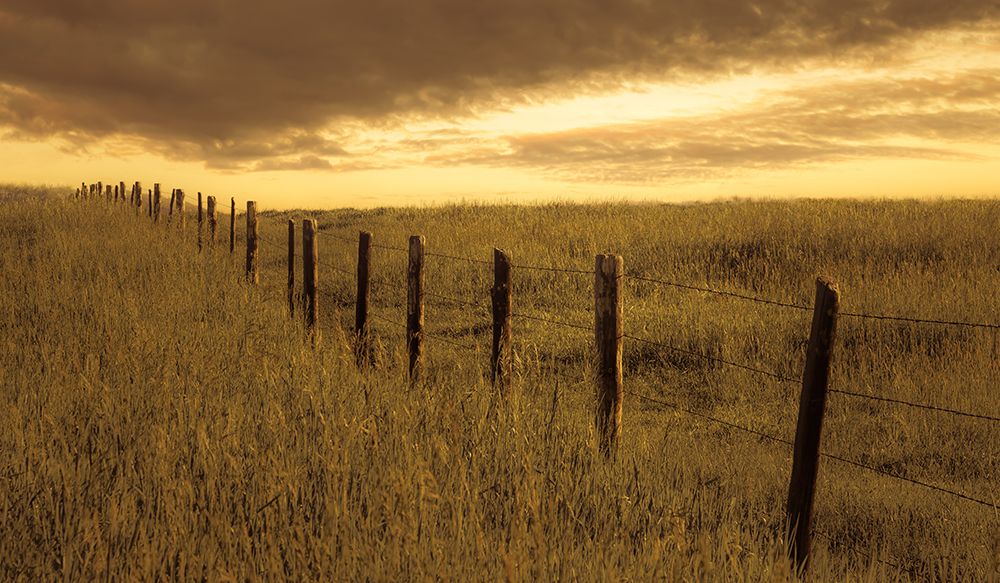 Where the Fence Meets the Sky art print by Don Schwartz for $57.95 CAD