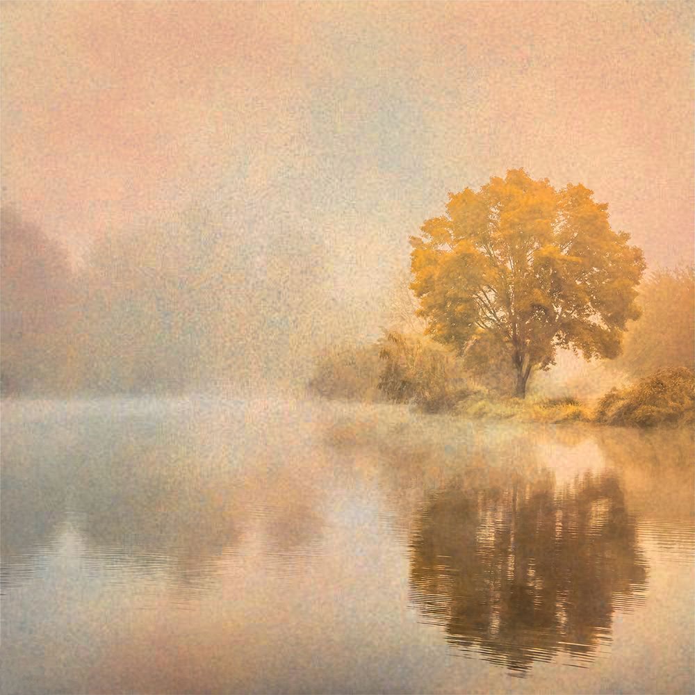 In the Mist art print by Don Schwartz for $57.95 CAD
