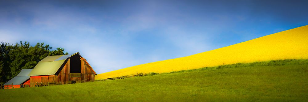 Palouse Barn art print by Don Schwartz for $57.95 CAD