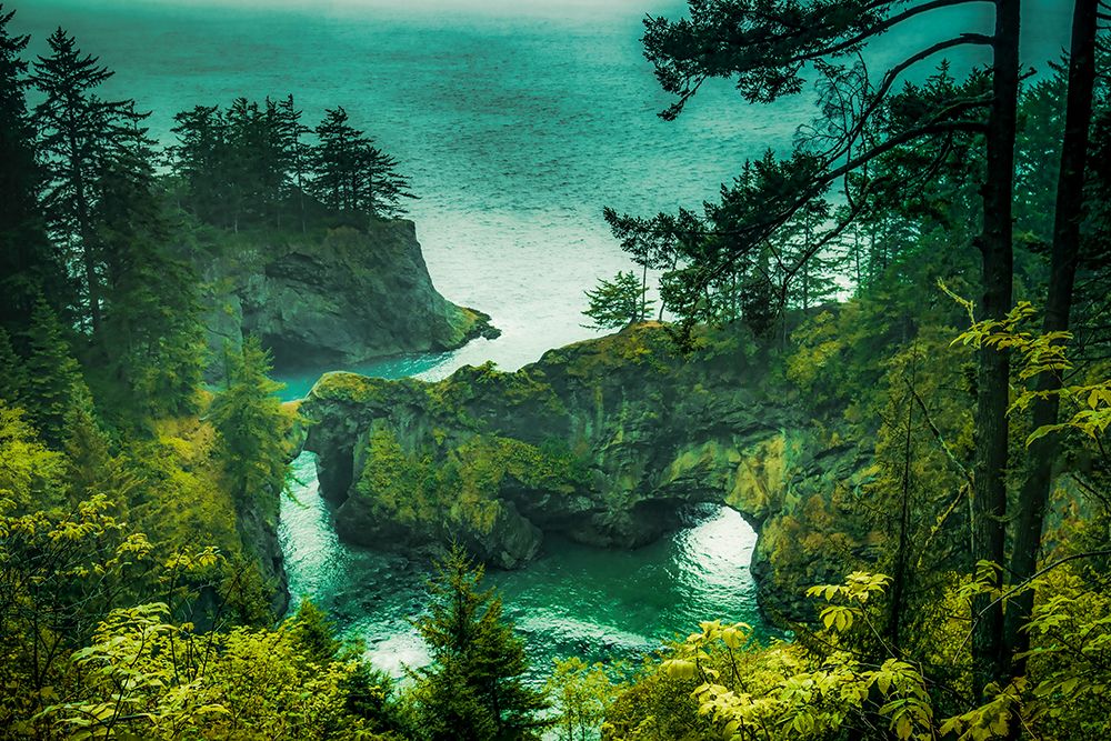 Natural Bridges Cove art print by Don Schwartz for $57.95 CAD