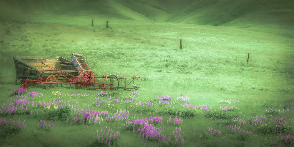 Wagon in the Meadow art print by Don Schwartz for $57.95 CAD