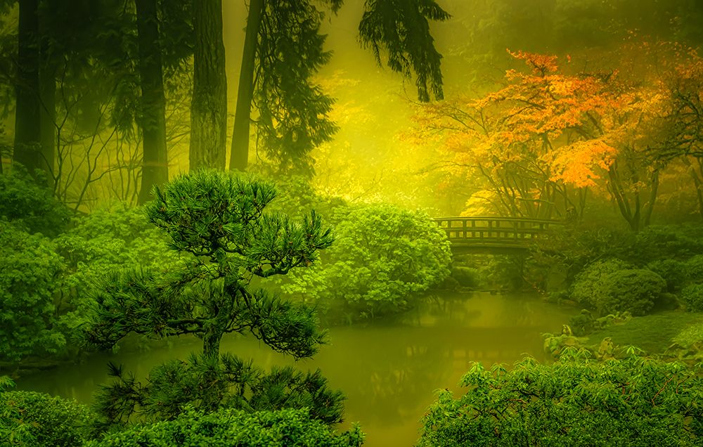 Garden in the Mist art print by Don Schwartz for $57.95 CAD