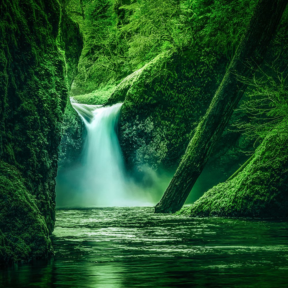 Punchbowl Falls art print by Don Schwartz for $57.95 CAD