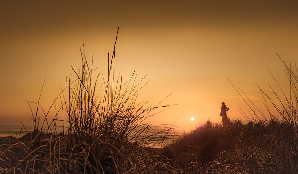 In the Dunes at Sunset art print by Don Schwartz for $57.95 CAD