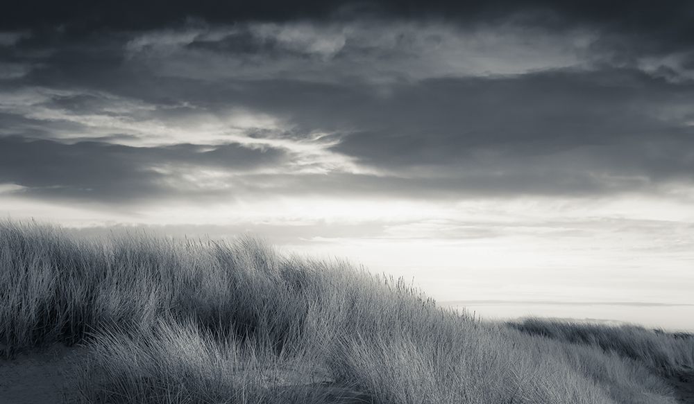 Sun-Dappled Dunes art print by Don Schwartz for $57.95 CAD