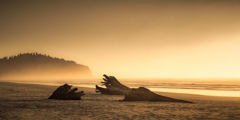 Solitary Beach at Sundown art print by Don Schwartz for $57.95 CAD