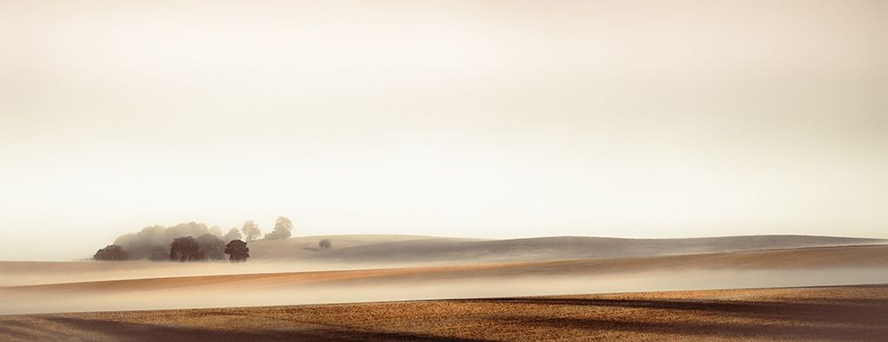 Fog in the Countryside art print by Don Schwartz for $57.95 CAD
