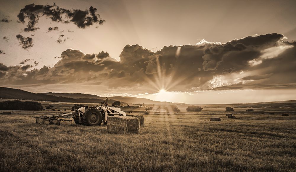 Haying Time art print by Don Schwartz for $57.95 CAD