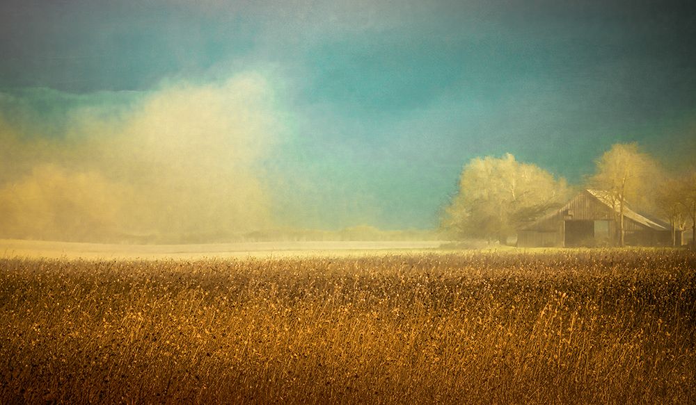 Barn in the Field of Sunflowers art print by Don Schwartz for $57.95 CAD