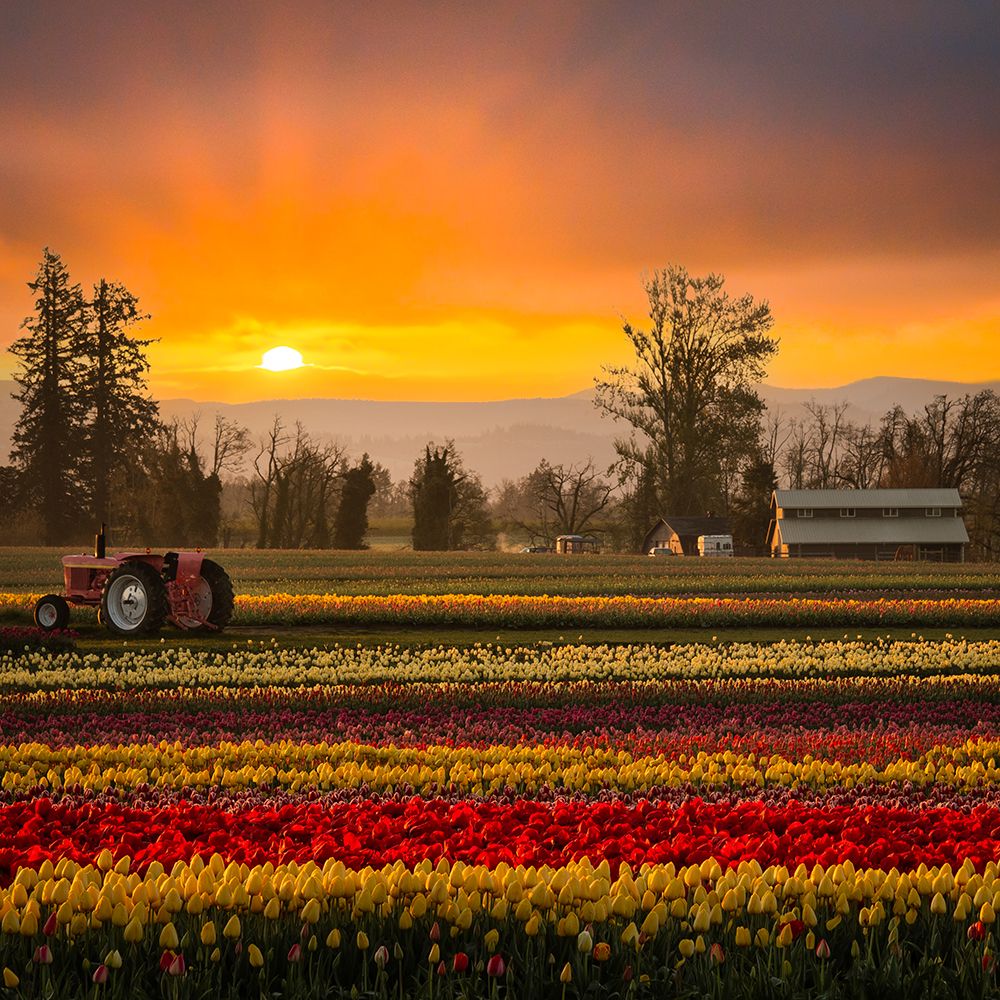 Springtime art print by Don Schwartz for $57.95 CAD