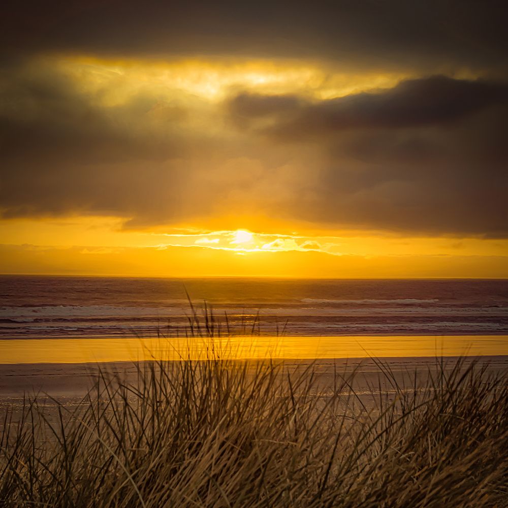 Dune Grasses in the Sunset art print by Don Schwartz for $57.95 CAD