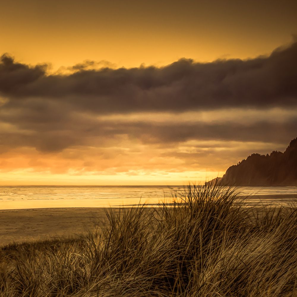 Sundown Through the Dune Grasses art print by Don Schwartz for $57.95 CAD