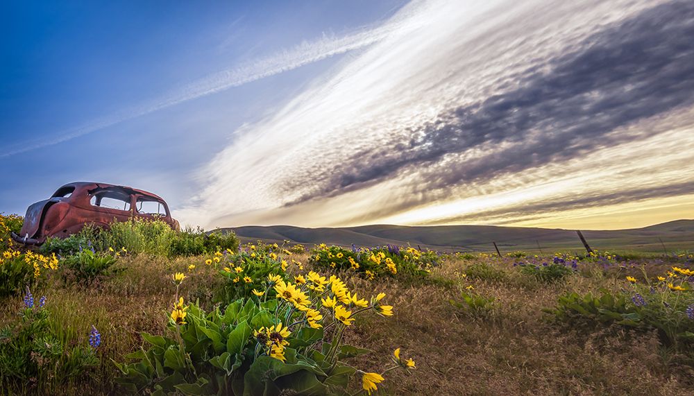Rusty Old Car in the Wildflowers art print by Don Schwartz for $57.95 CAD