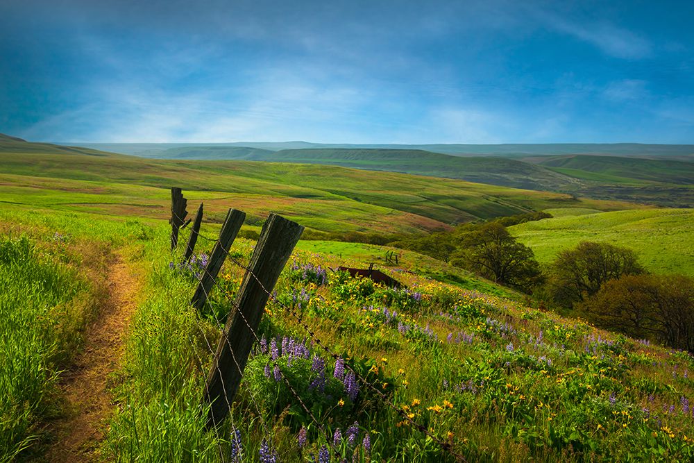 Across the Meadow art print by Don Schwartz for $57.95 CAD