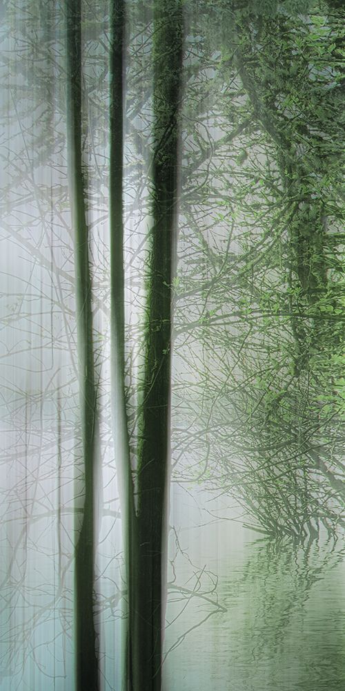Slender in Spring I art print by Don Schwartz for $57.95 CAD