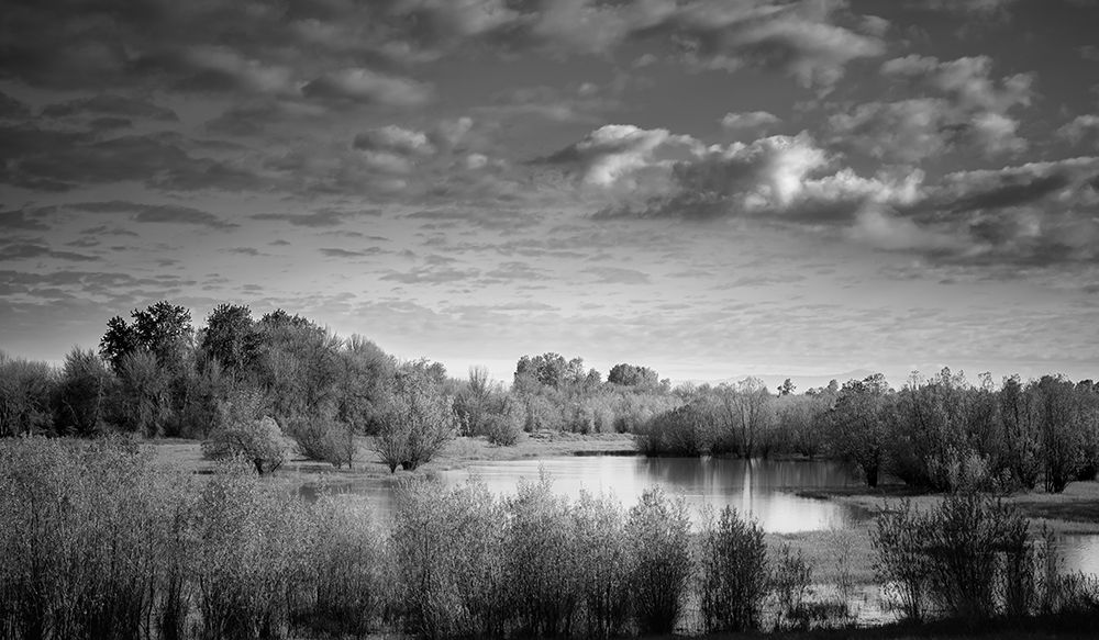 Tranquil Wetland art print by Don Schwartz for $57.95 CAD