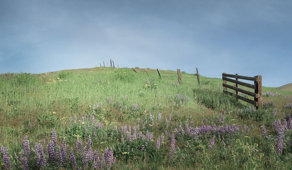 Spring Along the Hillside art print by Don Schwartz for $57.95 CAD